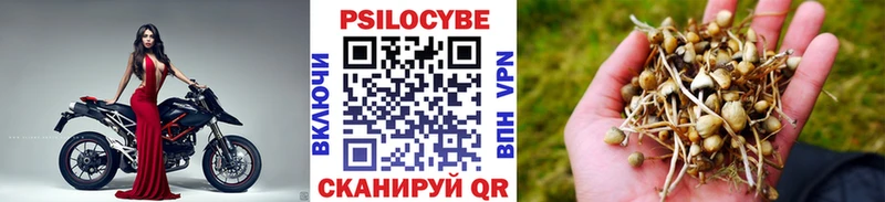 как найти закладки  Алдан  мега tor  Псилоцибиновые грибы Psilocybine cubensis 